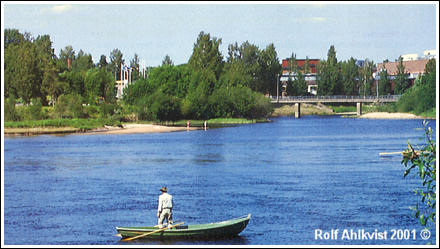 Klarälven, Nedströms TetraPacfabriken i Forshaga är det stundtals tätt med fisk. Av Rolf Ahlkvist ©
