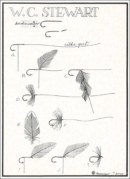 Bindbeskrivning av Stewart's Spider flugor