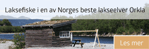 Laxfiske på Bårdshaug Herregård, Norge