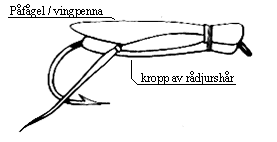 Bindbeskrivning