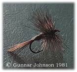 Torrfluga 2