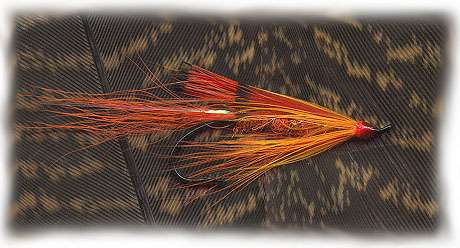 IQ Orange Shrimp, laxfluga