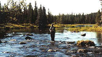 "Quiet Thrills" Loren Dakin playing Riffle