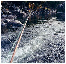 Powell Bamboo 4/5 at Merced River, by Dan Fallon