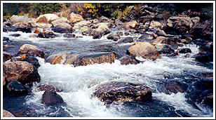 Merced river, Yosemite Park. Dec. -99