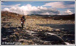Fiske på Dovrefjell