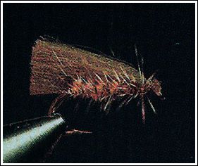 Brun's Caddis, av André Brun