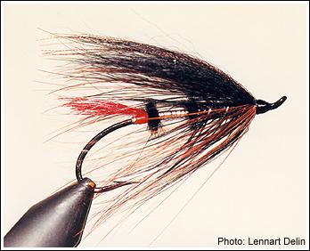 Chapoma Spey