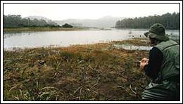Lake St Clare