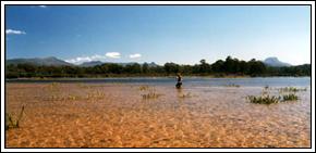 St Clair Lagoon