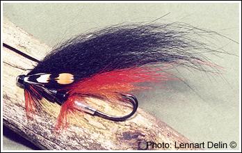 Black and Orange variant