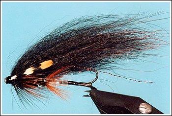 Black Dart
