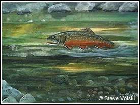 By Wildlife artist Steve Volski