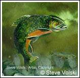 By Wildlife artist Steve Volski