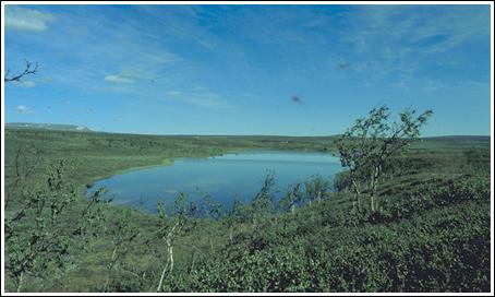 Harrsjön