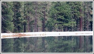 Private rainbow pond, Shingletown, CA
