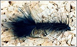 Wolly Bugger, photo by Mats Sjöstrand