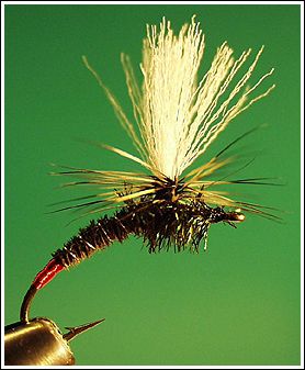 Red Tailed Emerger, Black