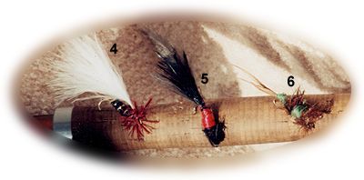 Dan Fallon Flies