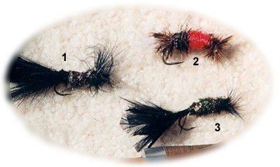 Dan Fallon Flies
