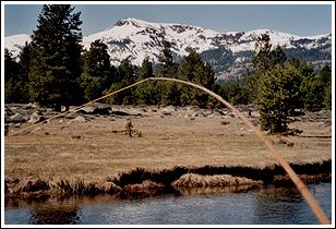 Carson river