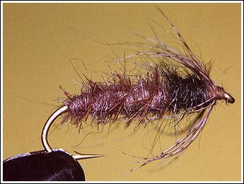 Flytande sälhårspuppa, foto av Henrik Larsson