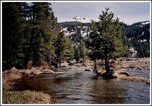 Carson river