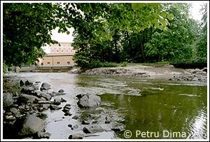 Foto: Petru Dima