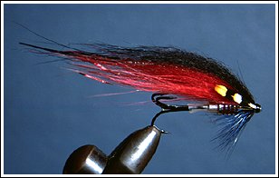 B&R Long Range Prototype