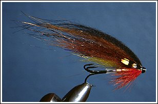 Brown Swedish Bullet