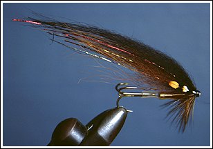 Black Skittle Prototype