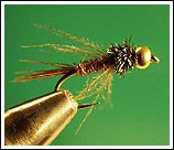 Bead head Pheasant Tail, photo by Sean Andrews