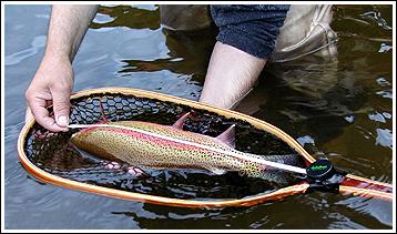 Handi-Measure, by Angling designs