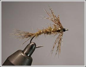 Goldhead Flymf, Erik Nygaard ©