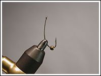 Bild1, Erik Nygaard ©