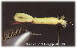 Lennart Bergqvist © 1981