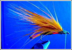 Gold Monkey Streamer