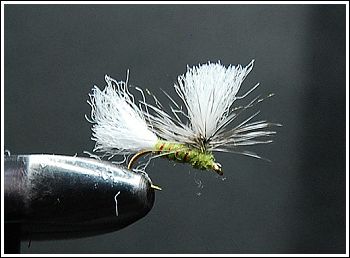 Vemeflugan, av Andreas Olsson © 2010