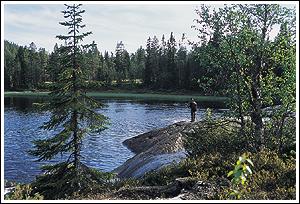 Thommy Gustavsson ©  2004