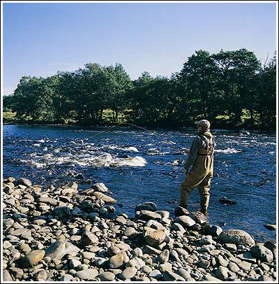 Lennart Bergqvist 2004 ©