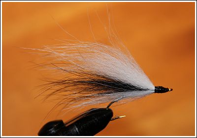 Mickey White