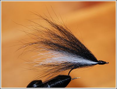 Mickey Black