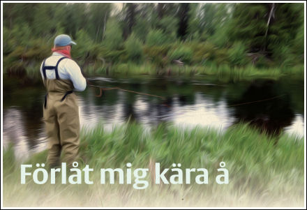 Förlåt mig kära å. Niklas H. Andersson ©