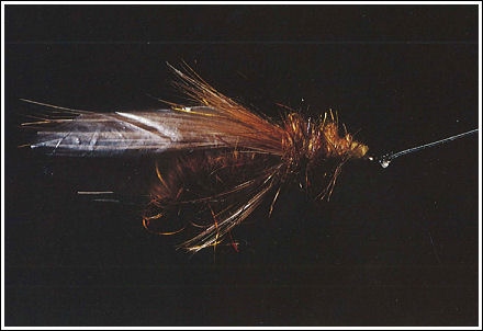Zing Wing eller Fruktpose Caddis, av Gerben Groustra ©