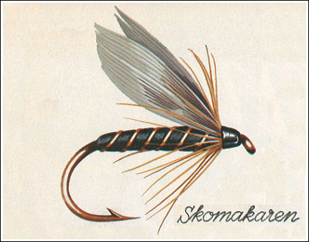 Hedeflugan Skomakaren