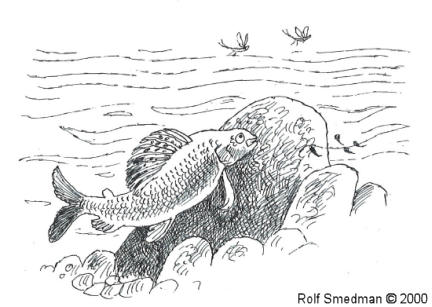 Rolf Smedman © 2000