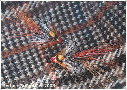 Foxford Shrimp
