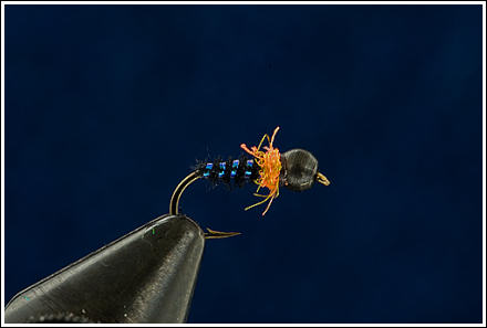 Rising midge mikronymfe, av André Brun