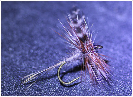 © By Niklas Dahlin 2009