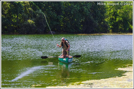 Photo by Mike Hogue 2013 ©